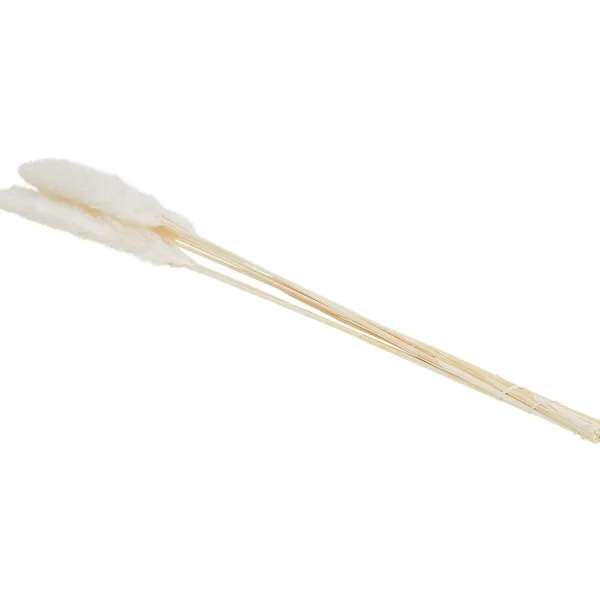 Green Boots Zaaien & Planten^Droogboeket