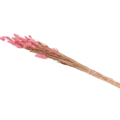 Green Boots Zaaien & Planten^Droogboeket