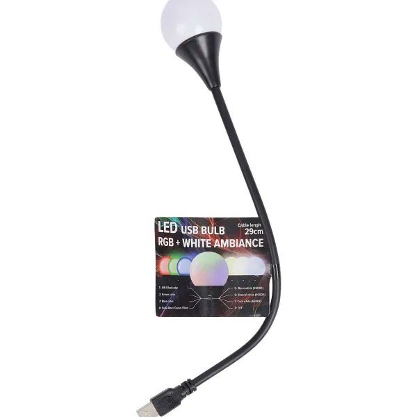 Werckmann Verlichting^Eurodomest Led Usb-Lamp