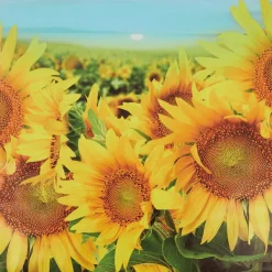 Merk Tuindecoratie^Garden Collection Tuindoek