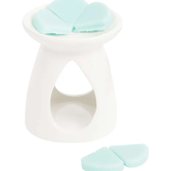 Dash Afwas- & Wasmiddelen^Geurbranderset