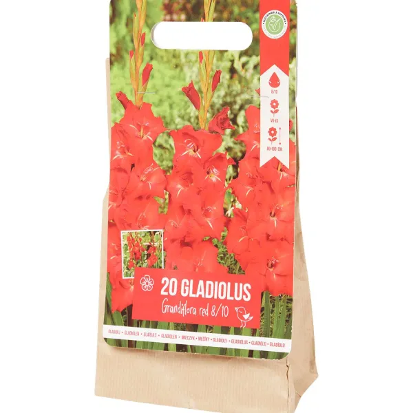 Green Boots Zaaien & Planten^Gladiolen Bloembollen