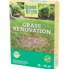 Green Boots Zaaien & Planten^Graszaad Herstelgazon