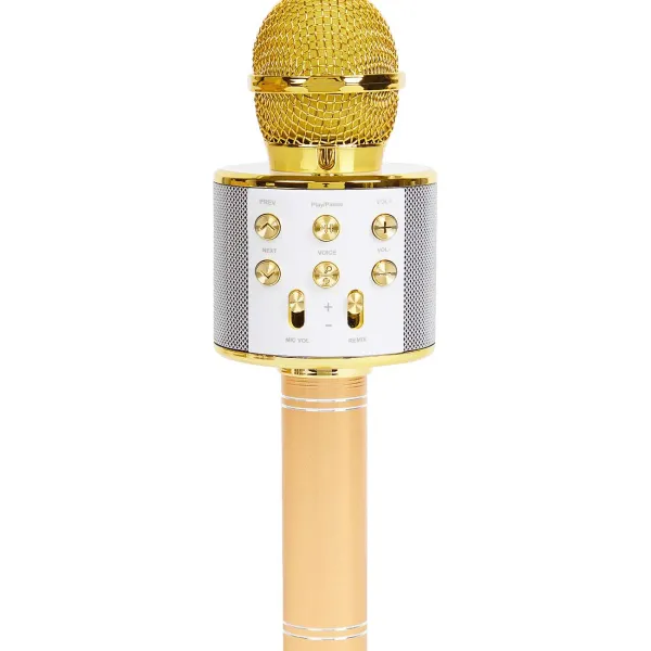 Lab31 Multimedia Accessoires^Karaoke-Microfoon