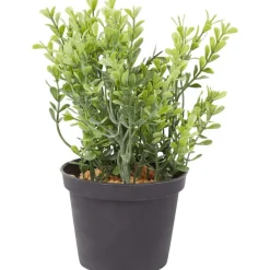 Merk Kunstplanten & -Bloemen^Kunstkruidenplant