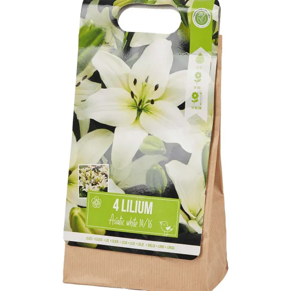 Green Boots Zaaien & Planten^Lelie Bloembollen