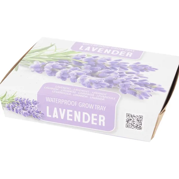 Green Boots Zaaien & Planten^Mini-Kweekset