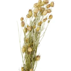 Merk Kunstplanten & -Bloemen^Nederlandse Droog Kunstbloemen