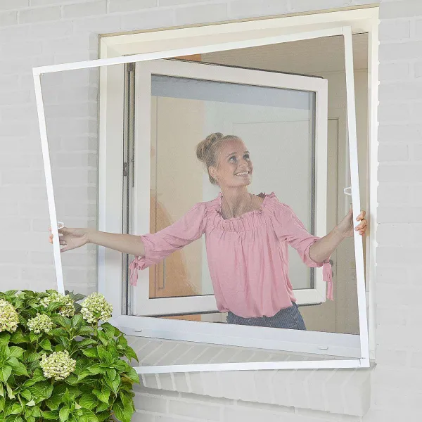 Grundig Ongediertebestrijding^Raamhor