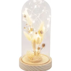 Merk Woonaccessoires^Stolp Met Droogbloemen En Licht