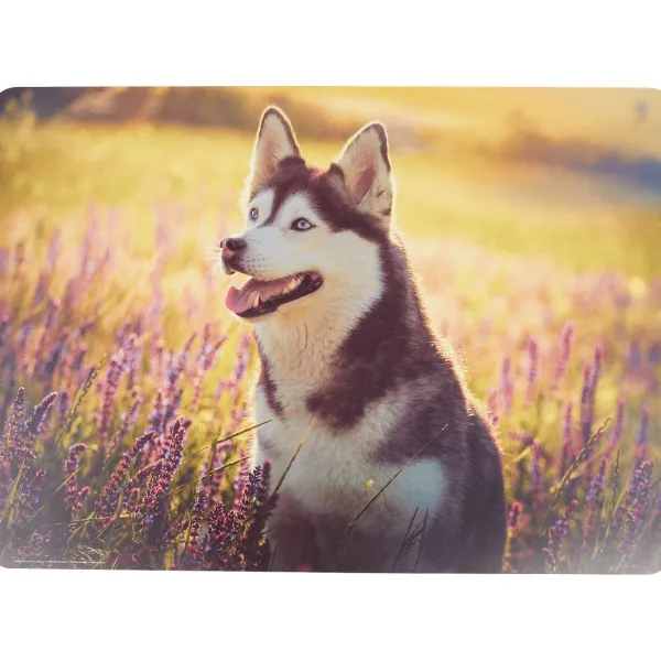 Royal Talens Placemats^Teken- En Knutselplacemat