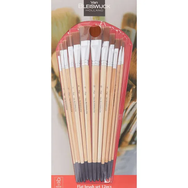Van Bleiswijck Schilderen^Penselenset