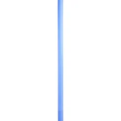 Intex Waterspeelgoed^Zwemnoodle